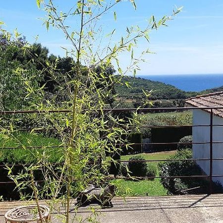 Estudio Vistas Al Mar Tamariu Y Bosques De Begur Kültér fotó